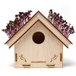 Ptičja valilnica z zeleno streho