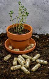 Kapsule s semeni 25 kosov - slika 4