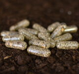 Kapsule s semeni 25 kosov - slika 2